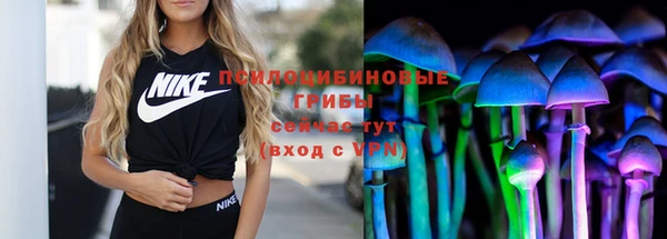 тгк Краснослободск