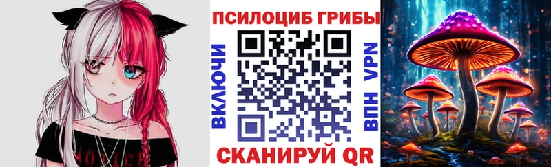 дарнет шоп  Арск  Псилоцибиновые грибы Magic Shrooms 